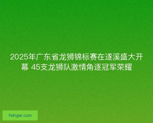 2025年广东省龙狮锦标赛在遂溪盛大开幕 45支龙狮队激情角逐冠军荣耀