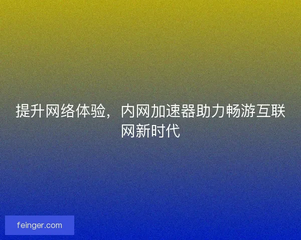 提升网络体验，内网加速器助力畅游互联网新时代